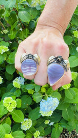 New Moon Round Quahog Shell Ring in Gold